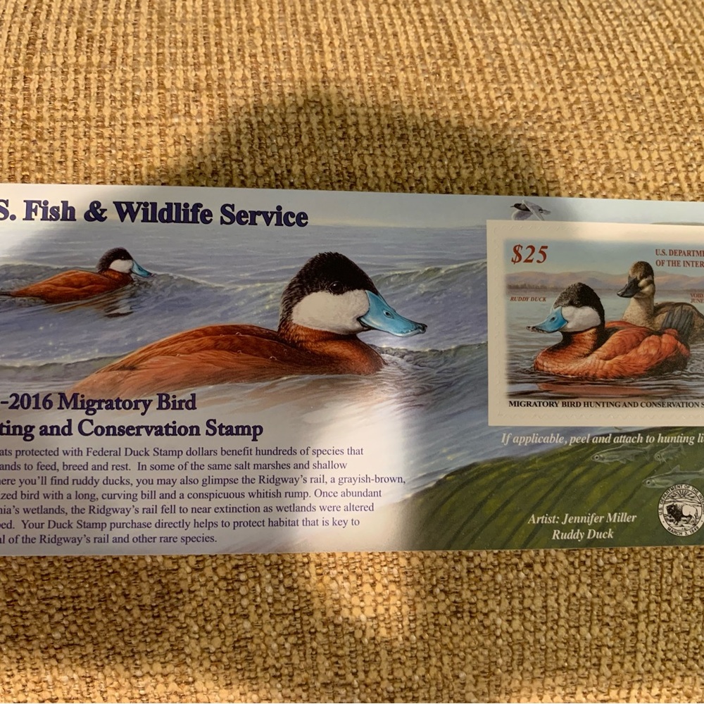 Federal Duck Stamp 2015-16